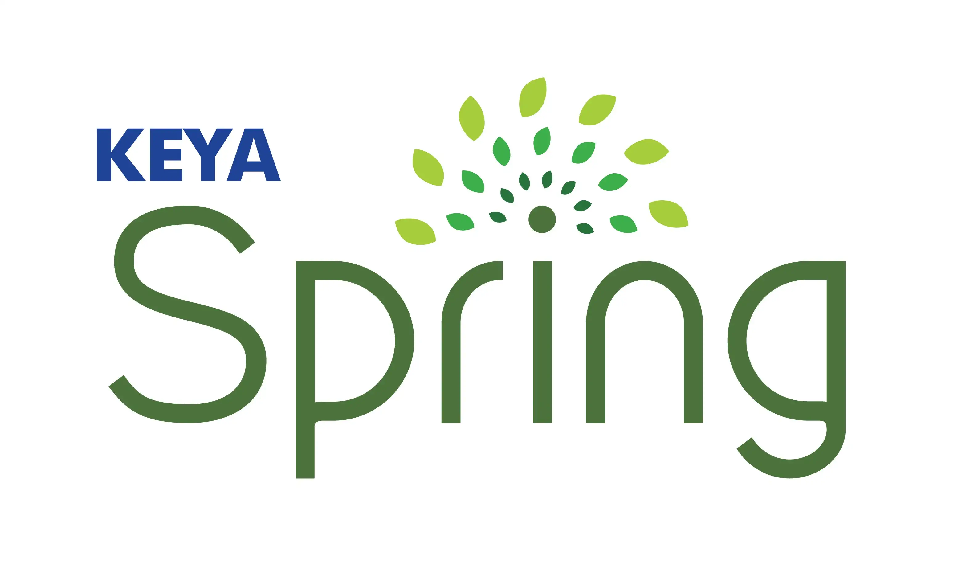 Keya Spring